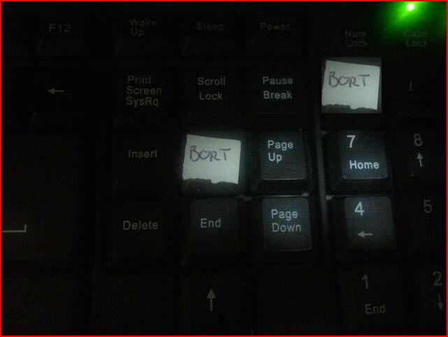 capture.jpg